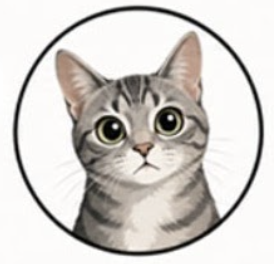 Cat Decoded logo